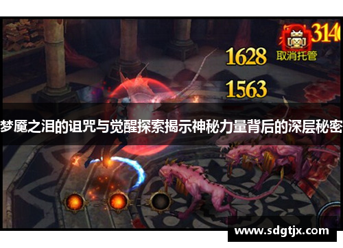 梦魇之泪的诅咒与觉醒探索揭示神秘力量背后的深层秘密 梦魇之泪的诅咒与觉醒探索揭示神秘力量背后的深层秘密